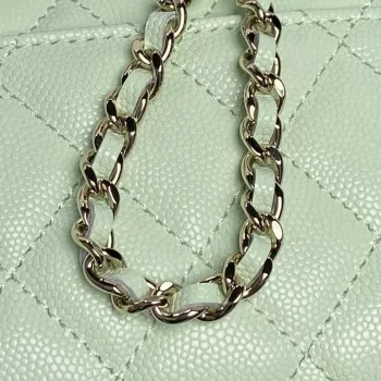 Chanel AP3238 Flap Chain Bag Light Green Lambskin Gold With Handle Bag