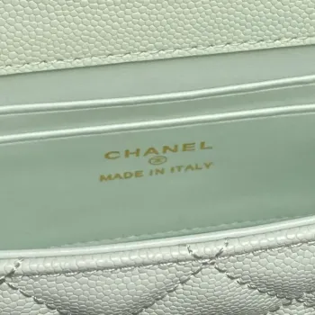 Chanel AP3238 Flap Chain Bag Light Green Lambskin Gold With Handle Bag