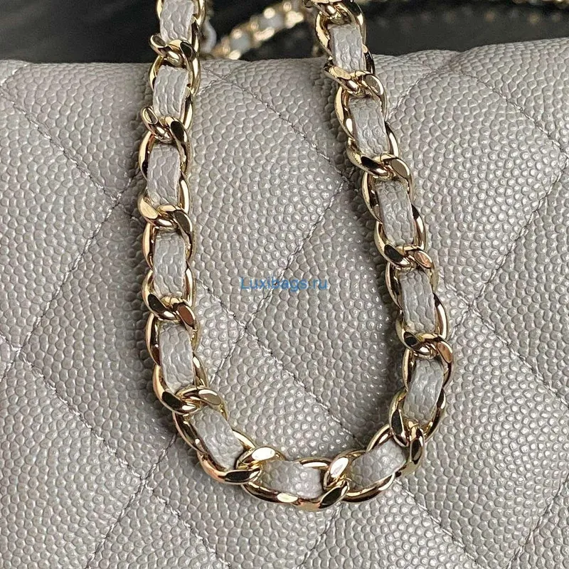 Chanel 25C AP4386 Hobo Grained Calfskin & Gold Tone Metal Gray