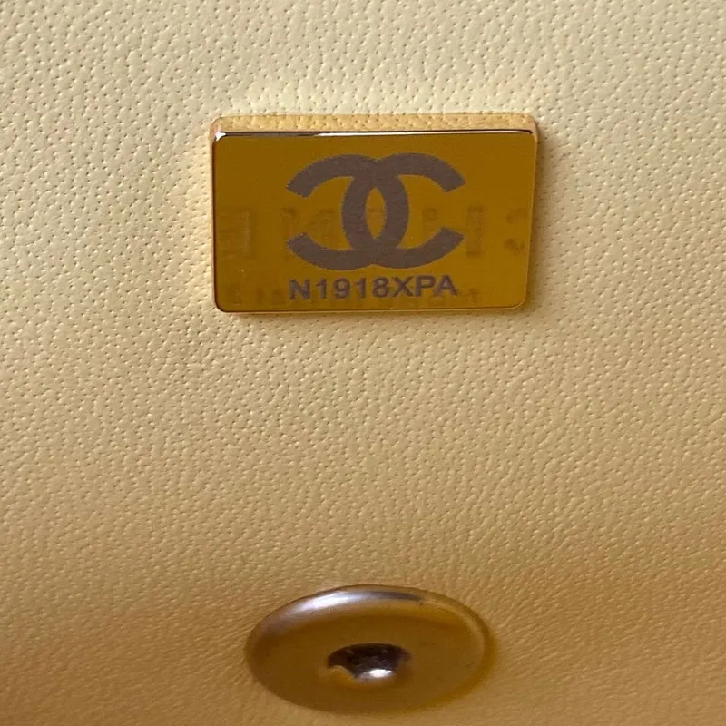 Chanel AS2649 Woc Wallet on Chain with Gold Charm Small Vintage Calfskin Bag Yellow