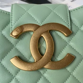 Chanel AS4610 Messenger bag Lambskin Green