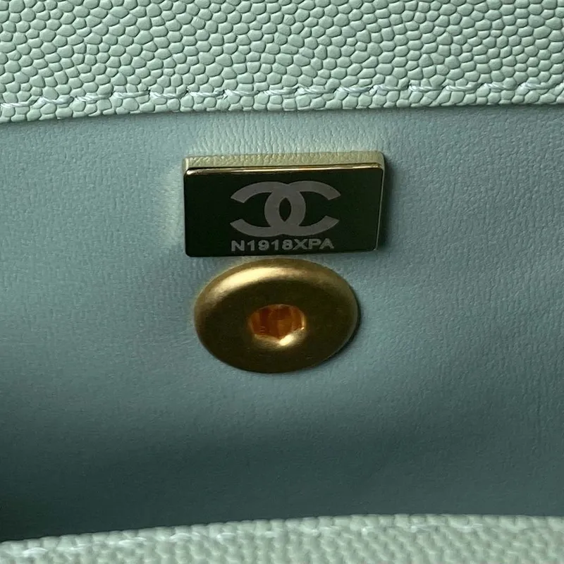 Chanel 23P Medium Flap Bag With Brown Top Handle Bag A92990 Green