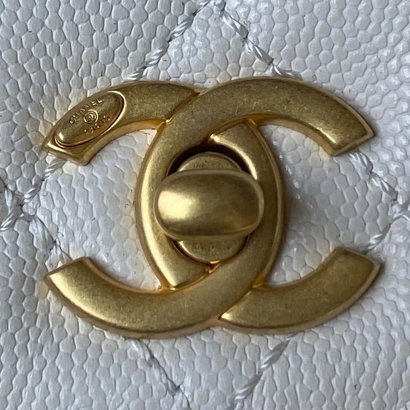 Chanel 23P Medium Flap Bag With Brown Top Handle Bag A92990 White