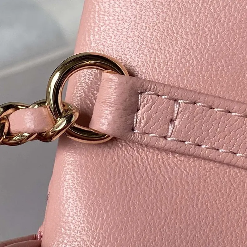 Chanel AS3791 Flap Bag Lambskin Pink