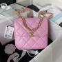 Chanel AS3384 Backpack Chain bag lambskin Pink