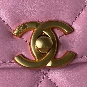 Chanel AS3384 Backpack Chain bag lambskin Pink
