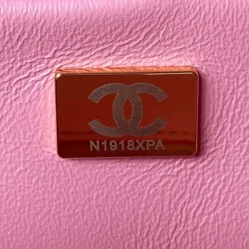 Chanel AS3384 Backpack Chain bag lambskin Pink