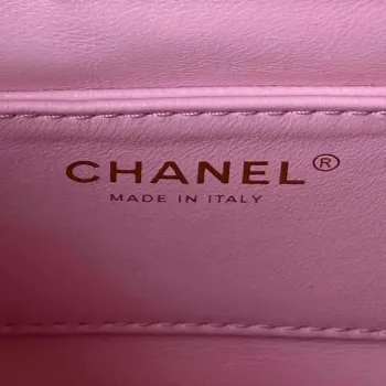 Chanel AS3830 Small Hobo Handbag Pink Calfskin Gold