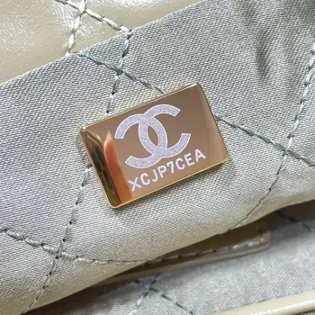 Chanel 22 Handbag Shiny Calfskin AS3261 Light Green