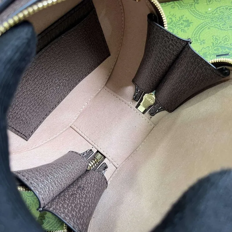 Gucci 725147 Ophidia Mini Chain Bag Brown