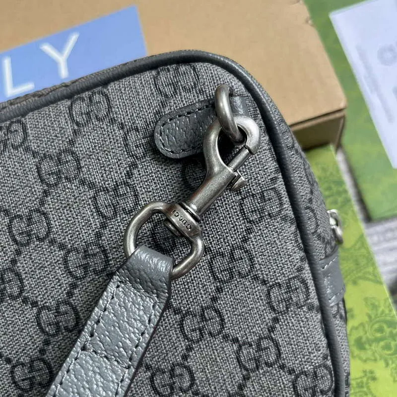 Gucci 760245 Ophidia GG Pouch Bag Grey