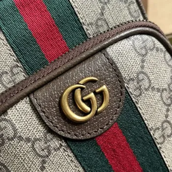Gucci 752565 Ophidia GG Mini Bag Brown