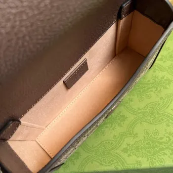 Gucci 700733 Gucci Cat print mini bag