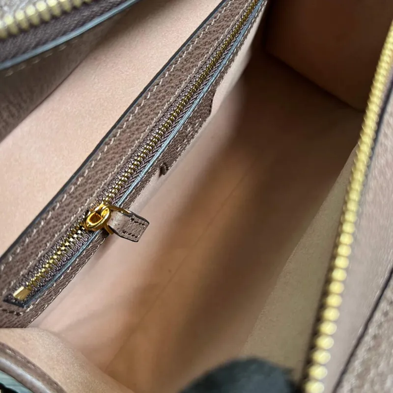 Gucci 693724 Ophidia Small Tote With Web Brown