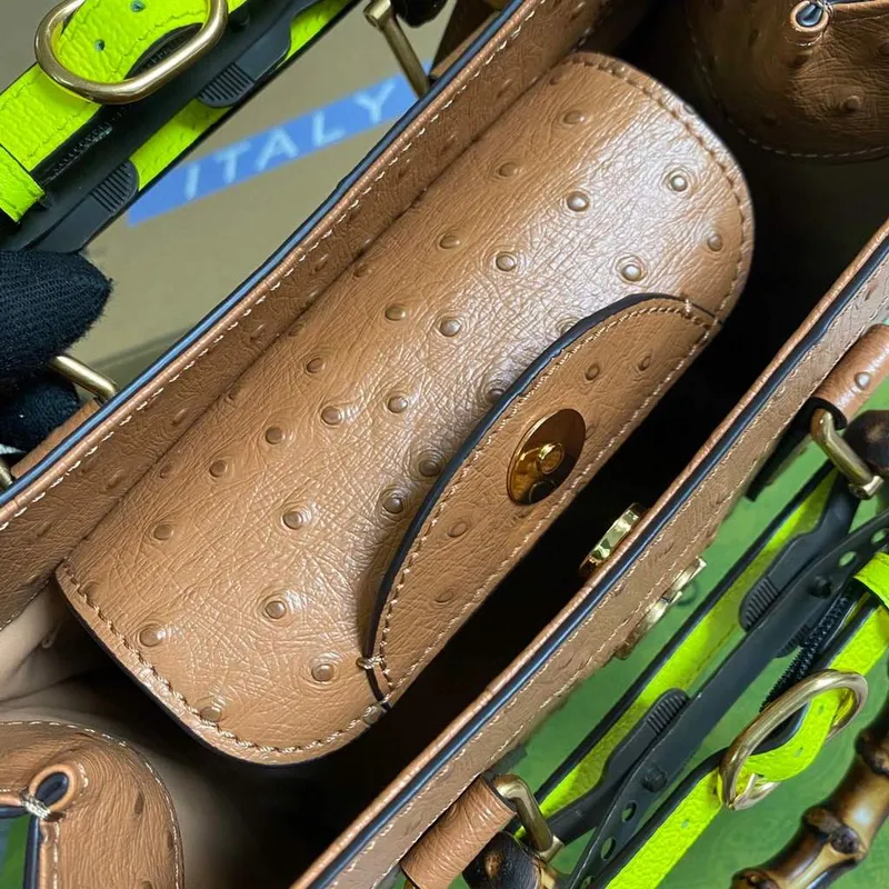 Gucci Diana Small Tote Bag Ostrich Top Handle Bag 660195 Brown