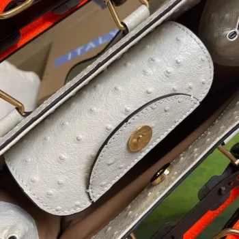 Gucci Diana Small Tote Bag Ostrich Top Handle Bag 660195 Beige