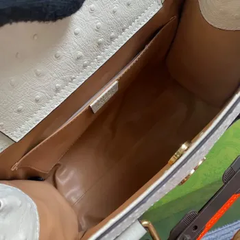 Gucci Diana Small Tote Bag Ostrich Top Handle Bag 660195 Beige