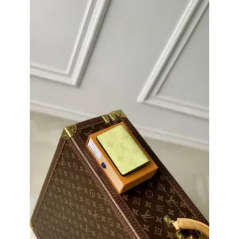 LV M14113 Louis Vuitton Pocket Organizer Taigarama Lemon Yellow