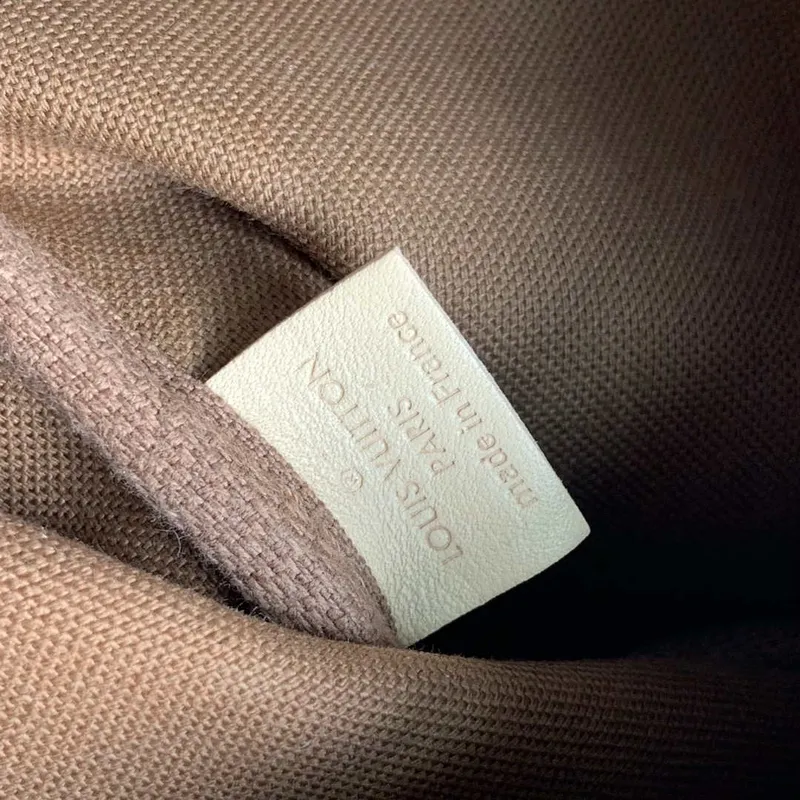 LV M44813 Louis Vuitton M44823 Multi Pochette Accessoires Bag Light Green