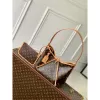 LV M46203 Louis Vuitton CarryAll PM Monogram Canvas