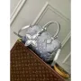 LV M11848 Louis Vuitton Speedy Bandoulière 25 Bag Frost