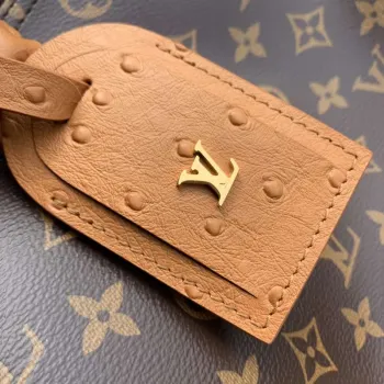 LV N87212 Louis Vuitton Speedy Soft 30 Boho Bag Monogram Tan