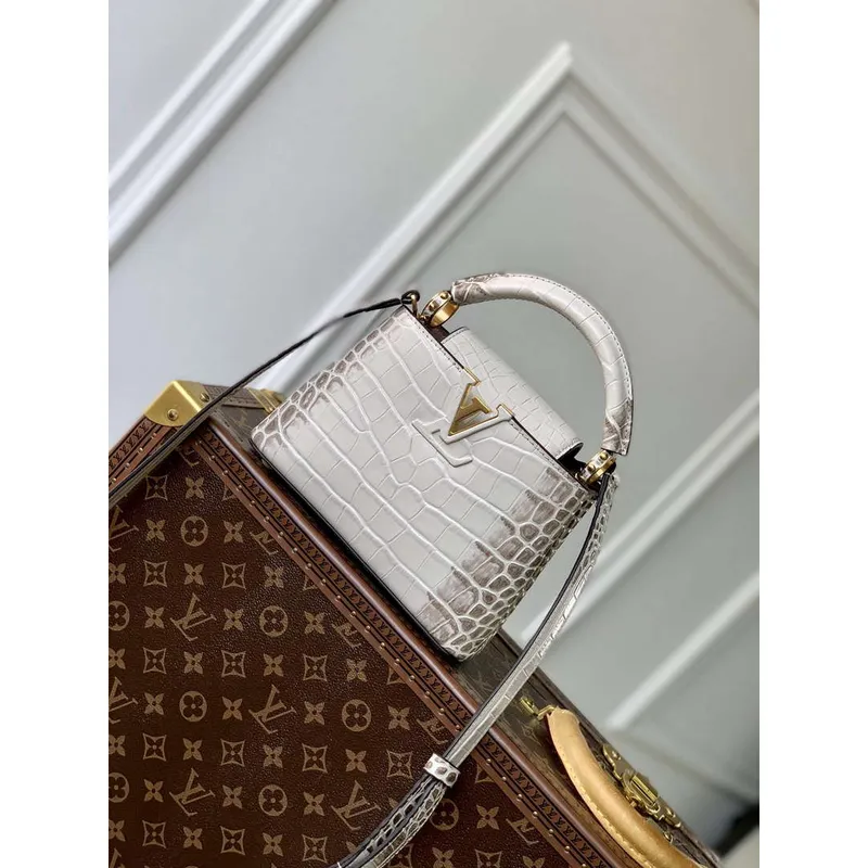 LV M48865 Louis Vuitton Capucines Mini Handbag Himalayas