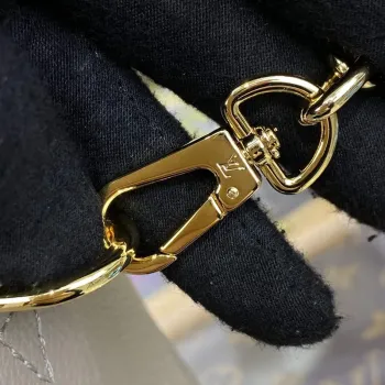 LV M46575 Louis Vuitton Speedy Bandoulière 20 Bag