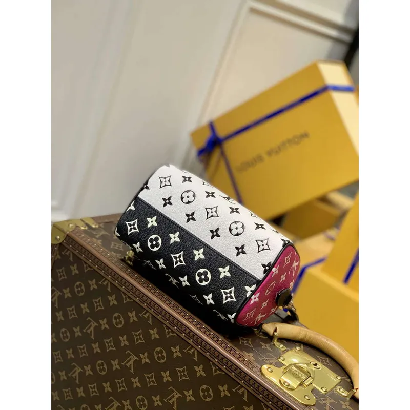 LV M46088 Louis Vuitton Speedy Bandoulière 20 Bag