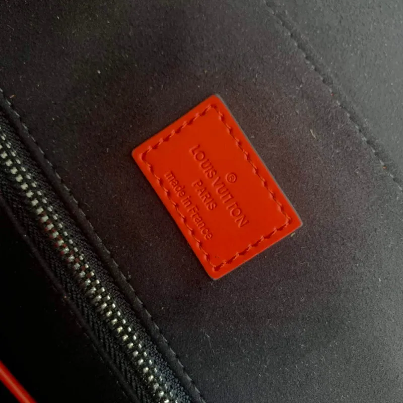 LV M41379 Louis Vuitton  Backpack Orange