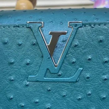 LV N81279 Louis Vuitton Capucines MM Handbag Lake blue