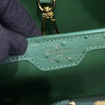 LV N93075 Louis Vuitton Capucines MM Handbag Mint Green