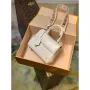 LV M58928 Louis Vuitton Cluny Mini Handbag Quartz