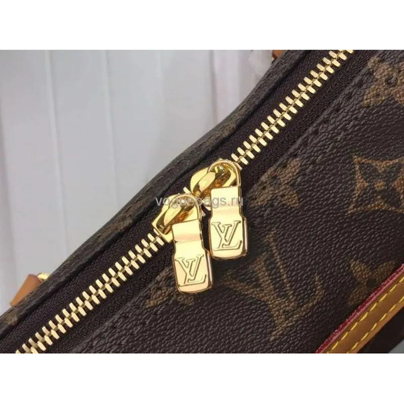 LV M51143 Louis Vuitton Monogram Mini Coussin Shoulder Bag Monogram