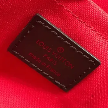 LV M40718 Louis Vuitton Favorite Mm M40717 Handbag Damier Ebene Canvas