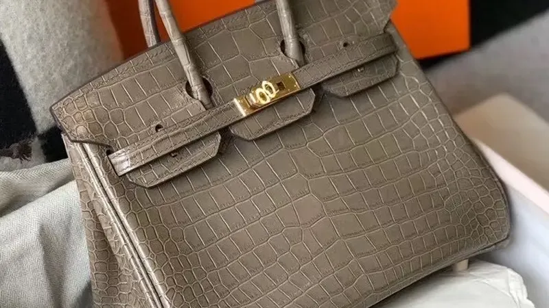 Hermes Birkin 25cm in Taupe Embossed Crocodile Leather — Compact Luxury