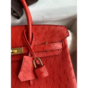 Hermes Birkin 25 Retourne Handmade Bag In Red Ostrich Leather