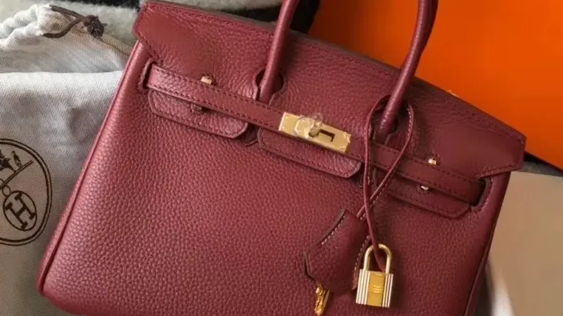 Hermes Birkin 25cm in Bordeaux Clemence — Compact Luxury, Timeless Investment