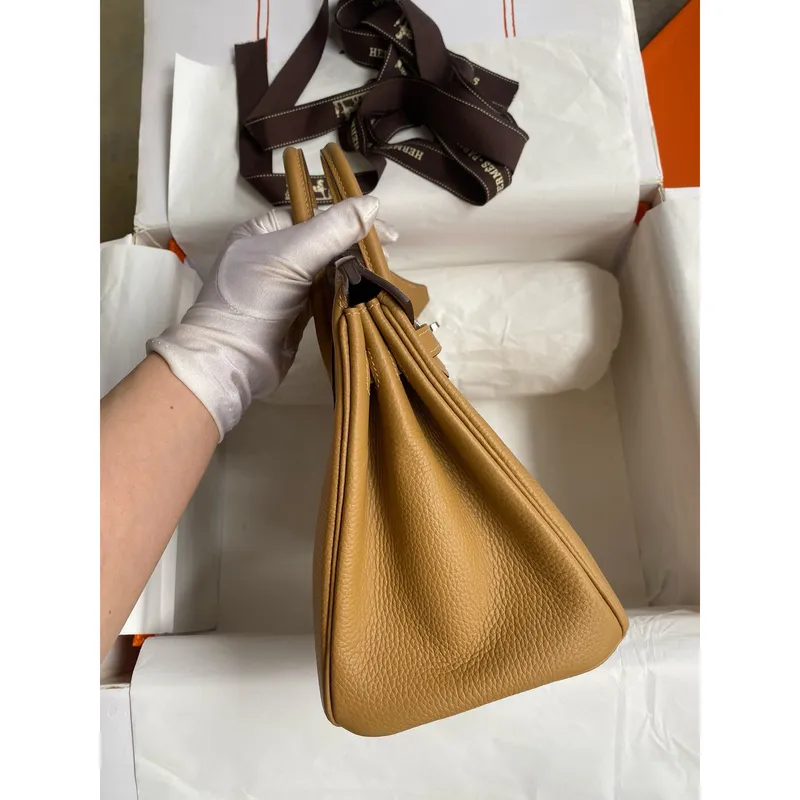 Hermes Birkin 25 Retourne Handmade Bag In Biscuit Clemence Leather
