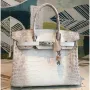 Hermes Birkin 30cm Niloticus Crocodile Himalaya