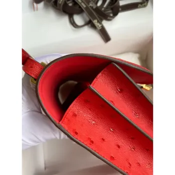 Hermes Constance 18 Handmade Bag In Red Ostrich Leather