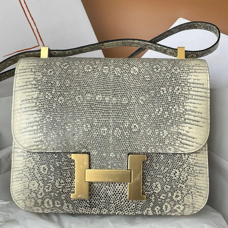 Hermes Constance 24 Handmade Bag in Ombre Natural Lizard Skin
