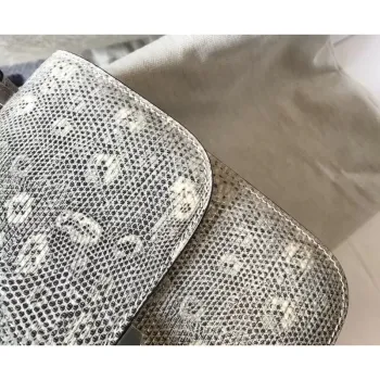 Hermes Constance 24cm Bag In Ombre Embossed Natural Lizard