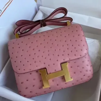 Hermes Terre Cutie Ostrich Constance 24cm Bag