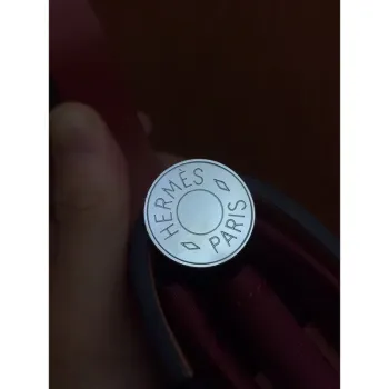 Hermes Herbag Zip 31cm Bag In Camel And Bordeaux