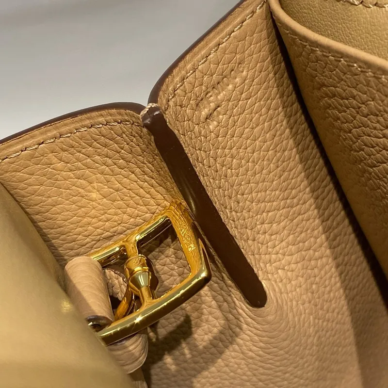 Hermes Halzan 25 Bag in Chai Clemence Leather